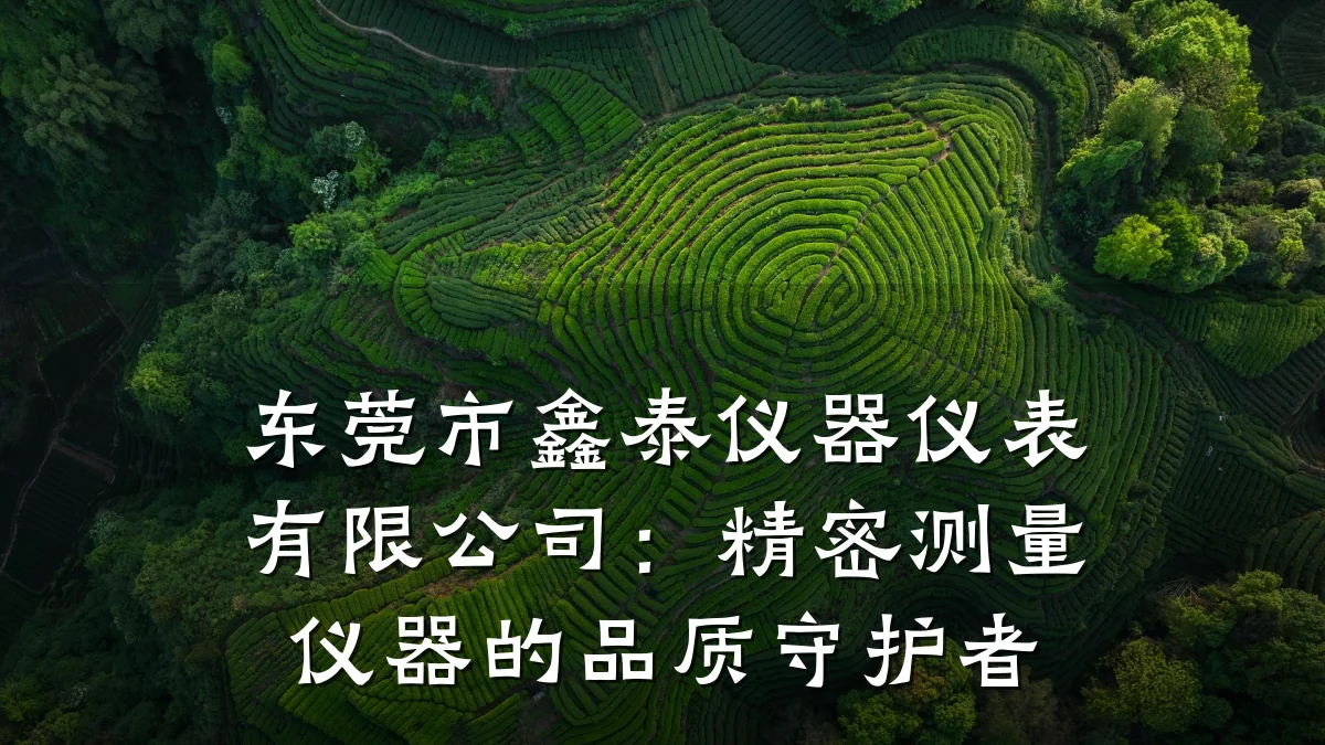 东莞市鑫泰仪器仪表有限公司:精密测量仪器的品质守护者