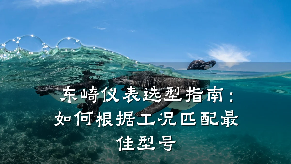 东崎仪表选型指南:如何根据工况匹配最佳型号