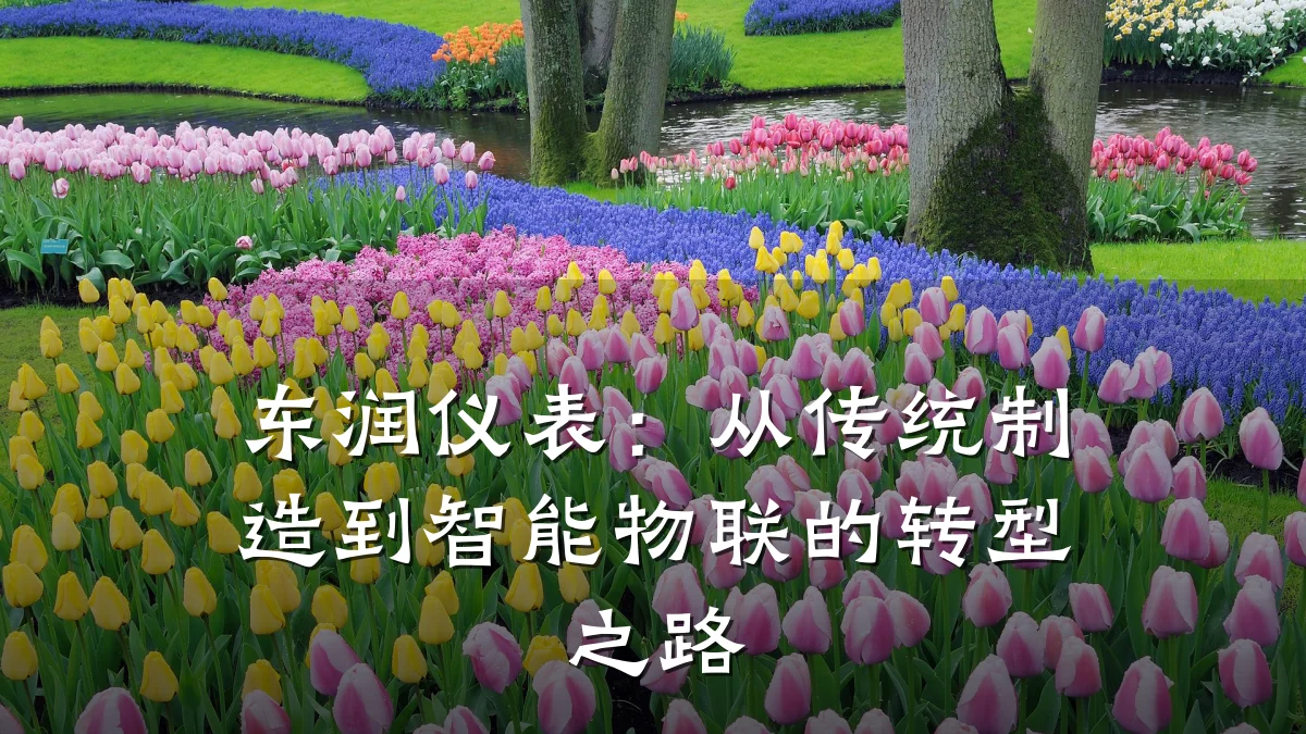 东润仪表:从传统制造到智能物联的转型之路