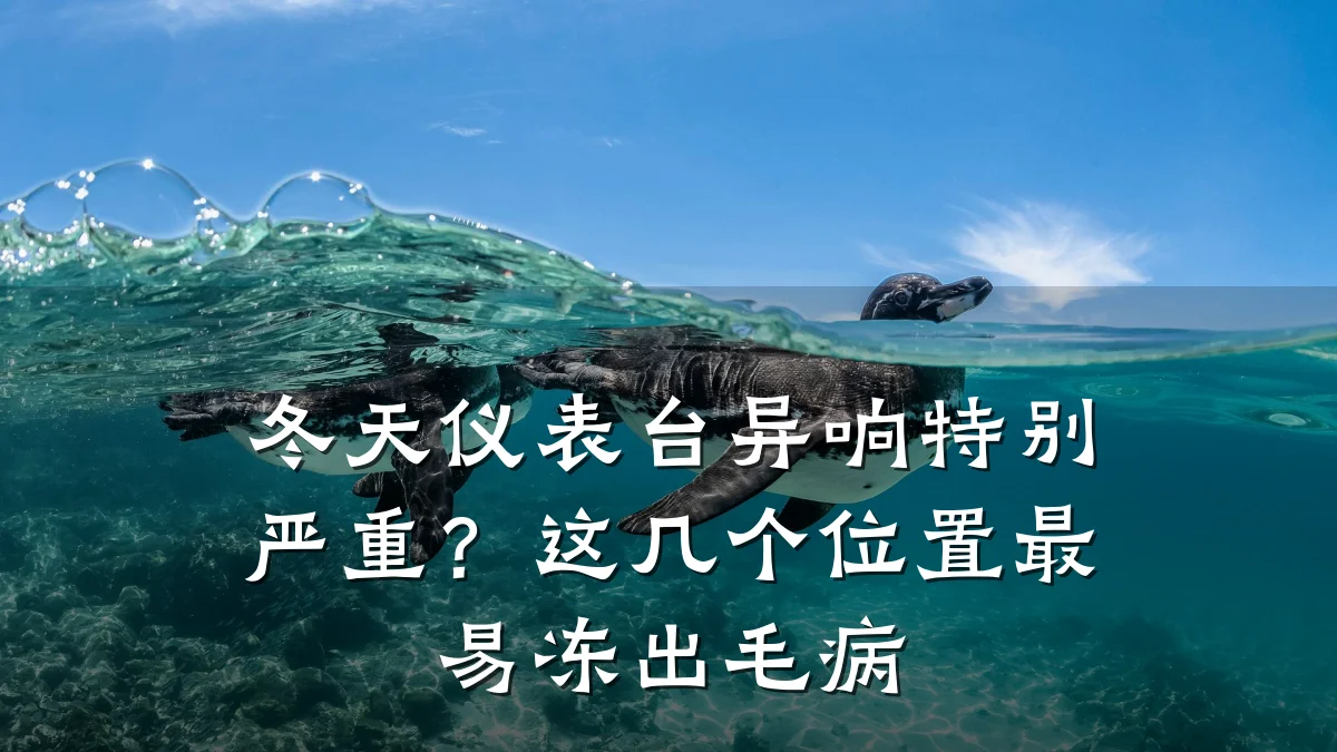 冬天仪表台异响特别严重?这几个位置最易冻出毛病