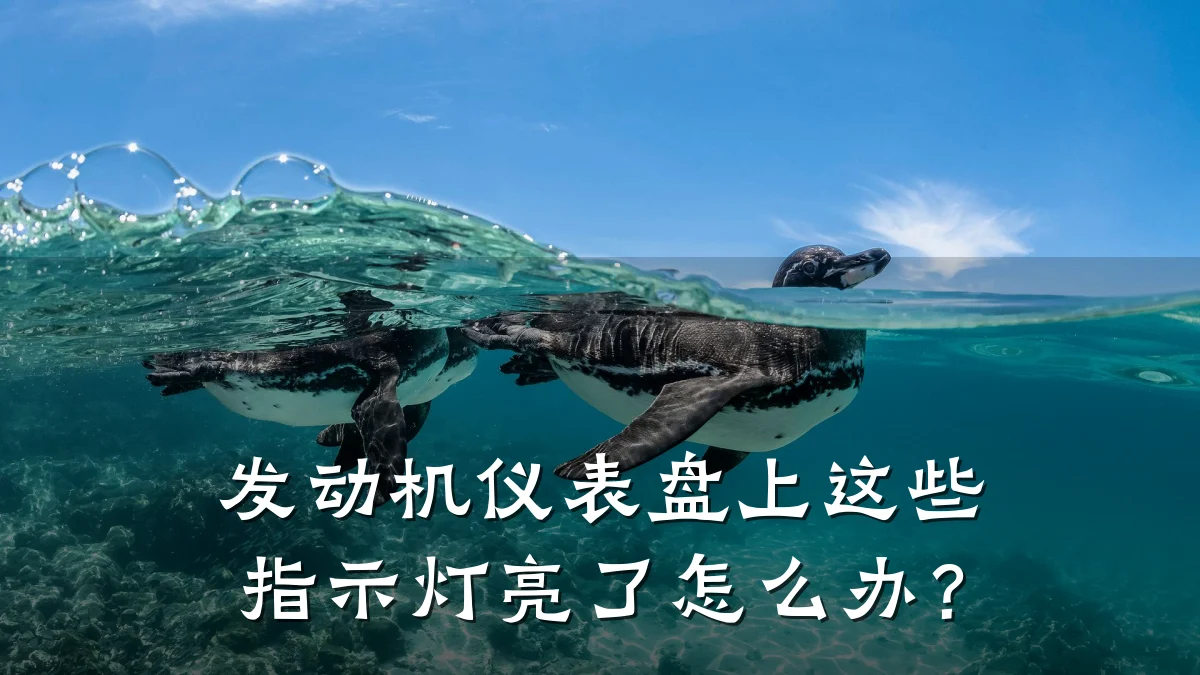 发动机仪表盘上这些指示灯亮了怎么办?