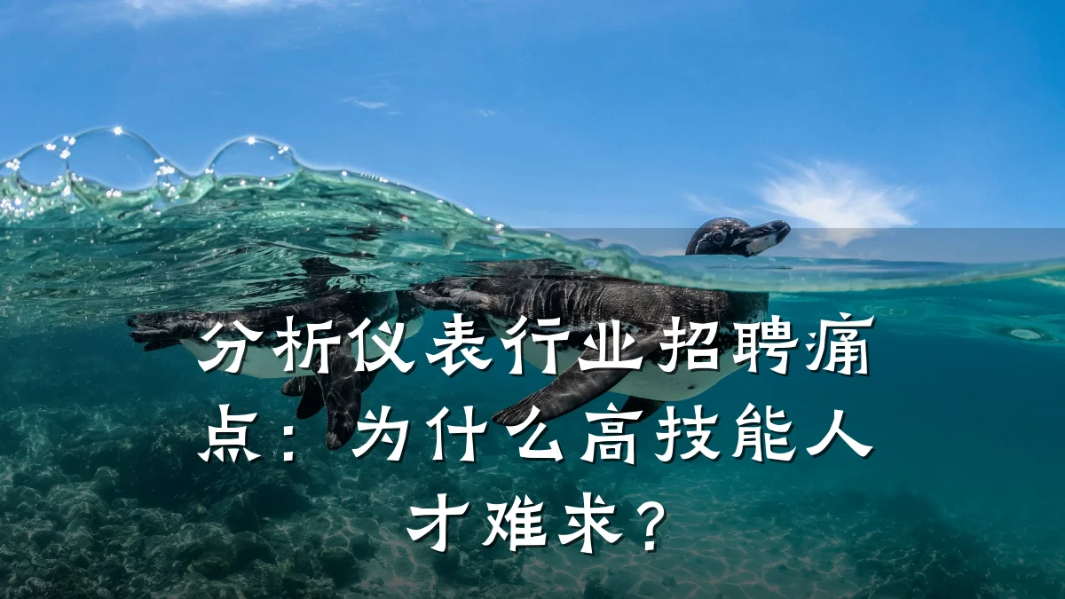 分析仪表行业招聘痛点：为什么高技能人才难求？