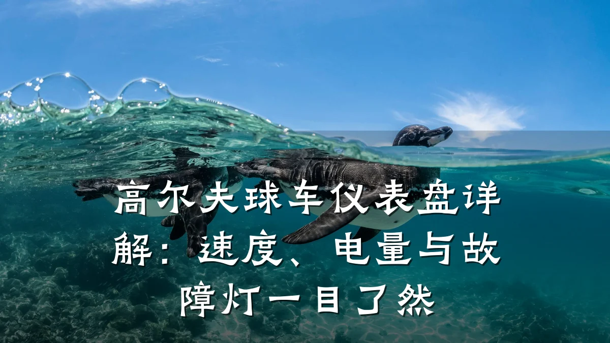 高尔夫球车仪表盘详解:速度、电量与故障灯一目了然