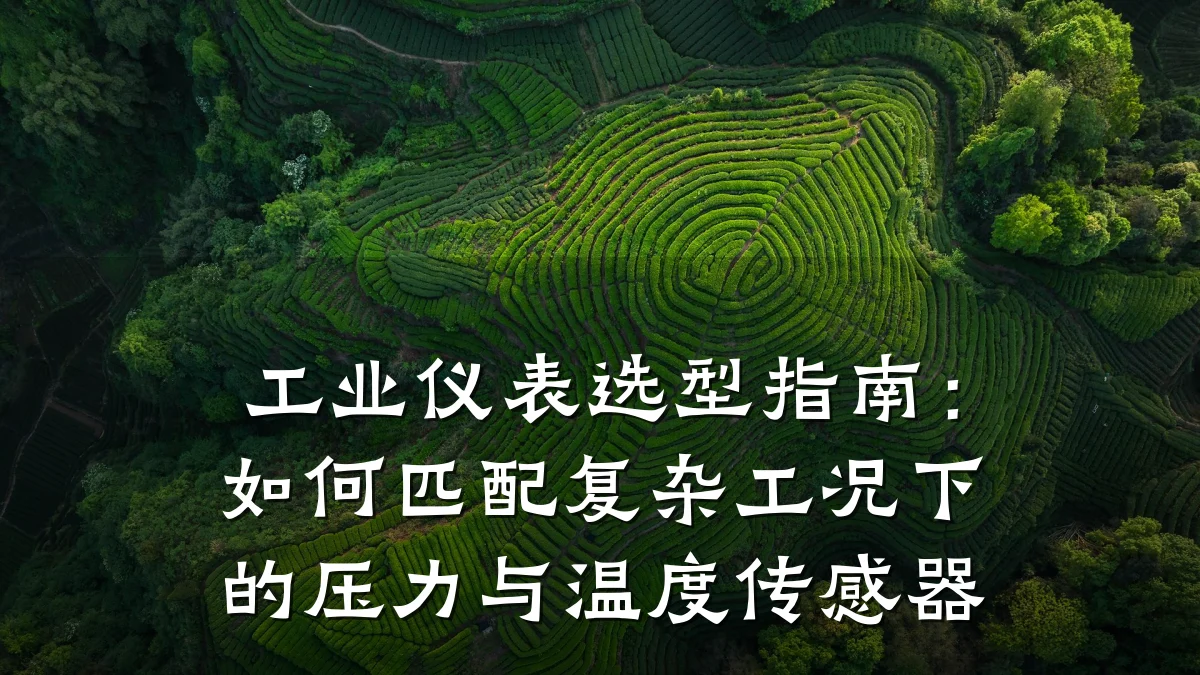工业仪表选型指南:如何匹配复杂工况下的压力与温度传感器