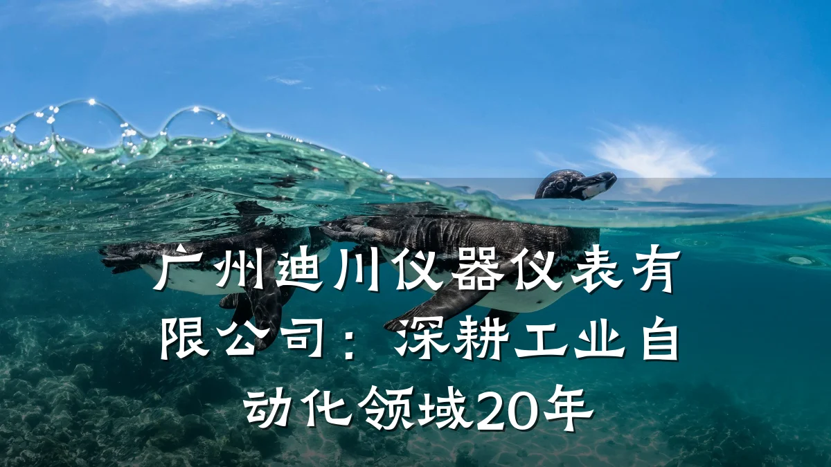 广州迪川仪器仪表有限公司:深耕工业自动化领域20年