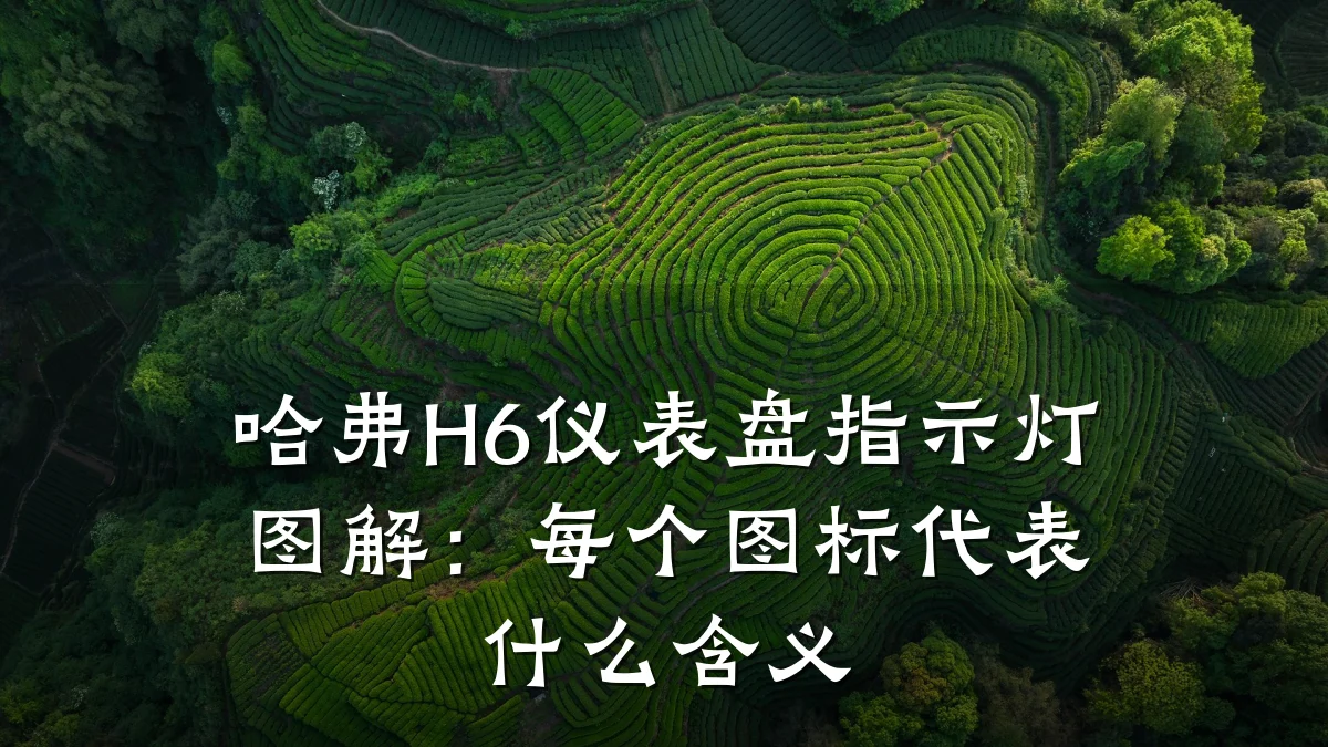 哈弗H6仪表盘指示灯图解:每个图标代表什么含义
