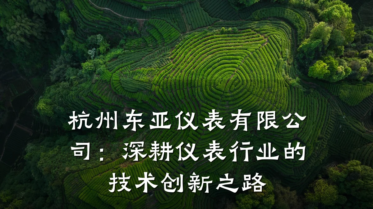 杭州东亚仪表有限公司：深耕仪表行业的技术创新之路