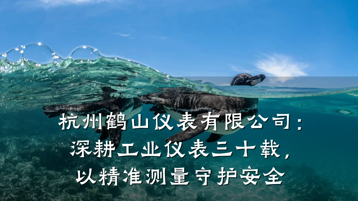杭州鹤山仪表有限公司:深耕工业仪表三十载,以精准测量守护安全