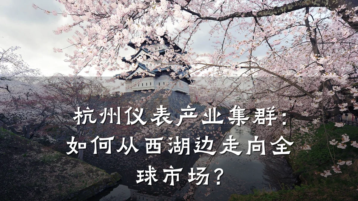 杭州仪表产业集群:如何从西湖边走向全球市场?