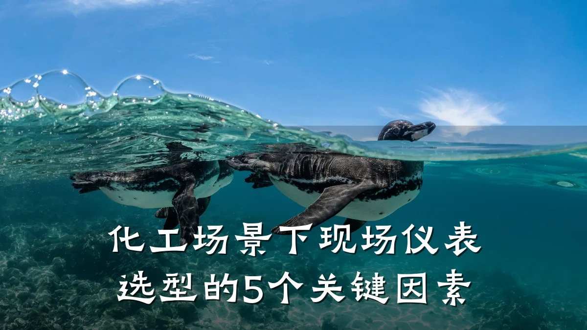 化工场景下现场仪表选型的5个关键因素