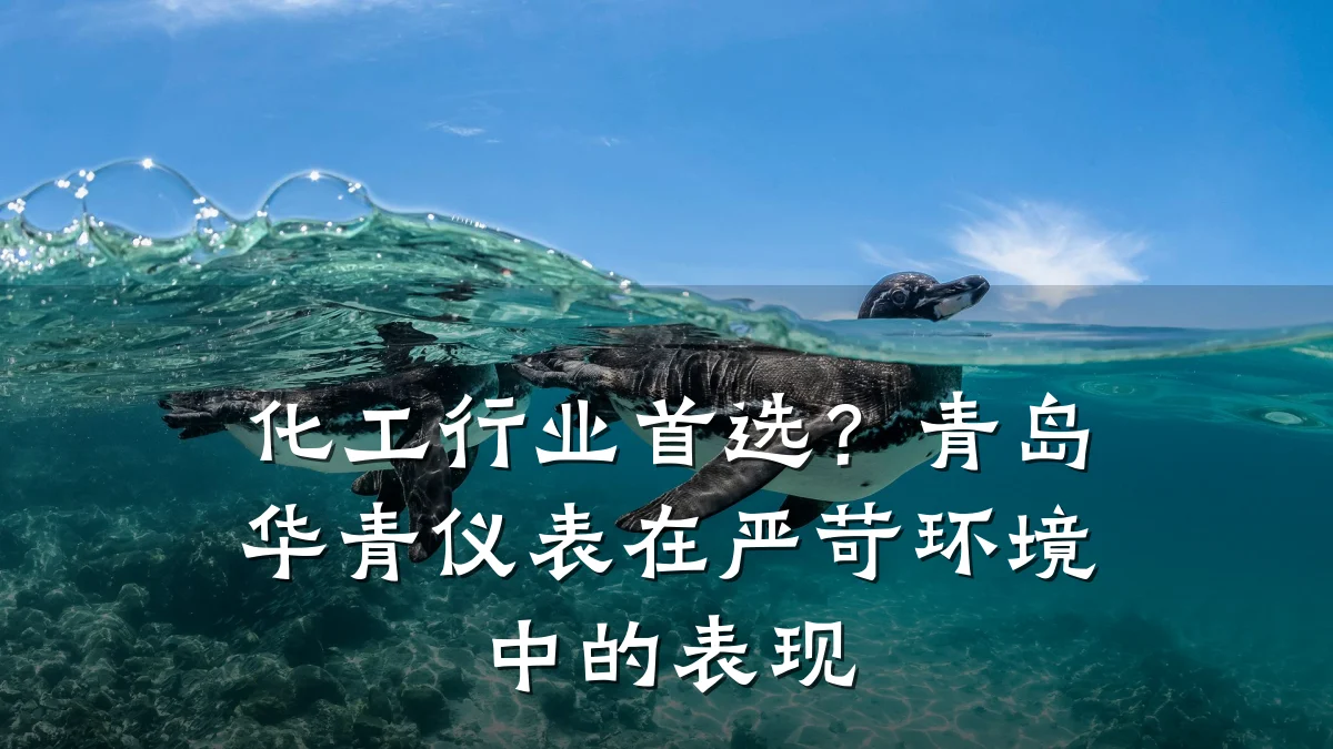 化工行业首选?青岛华青仪表在严苛环境中的表现