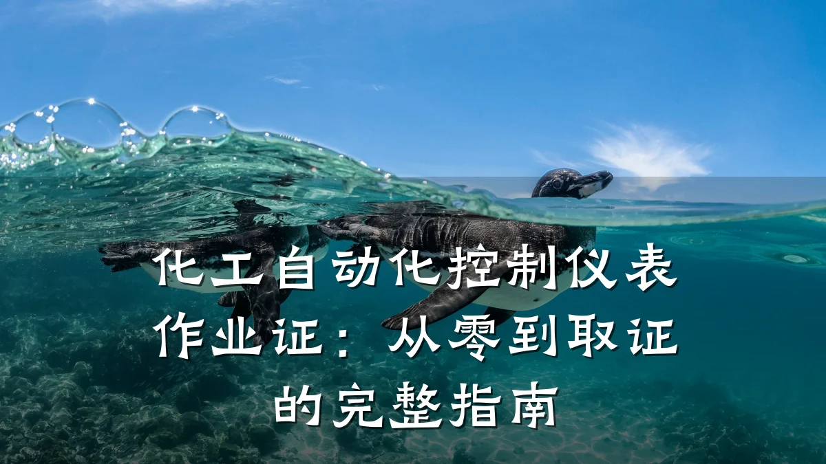 化工自动化控制仪表作业证:从零到取证的完整指南