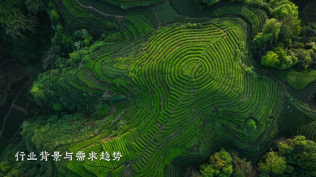 行业背景与需求趋势