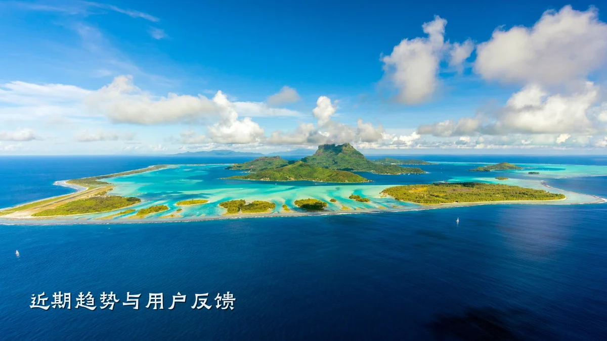 近期趋势与用户反馈