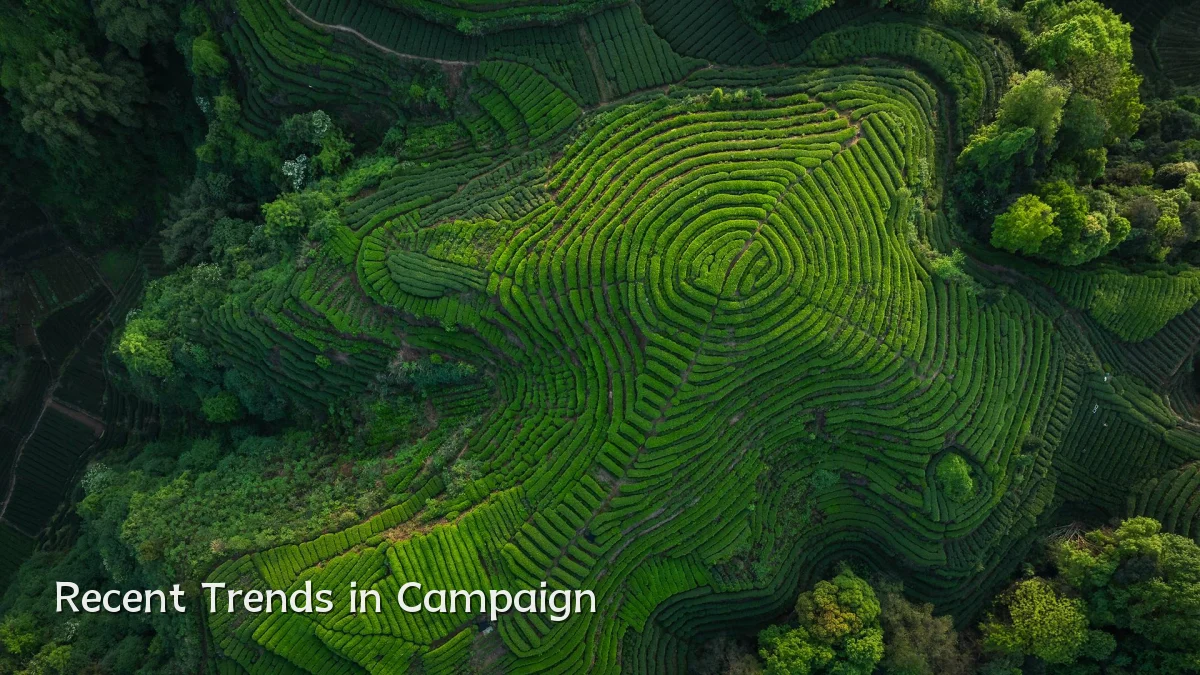 Recent Trends in Campaign