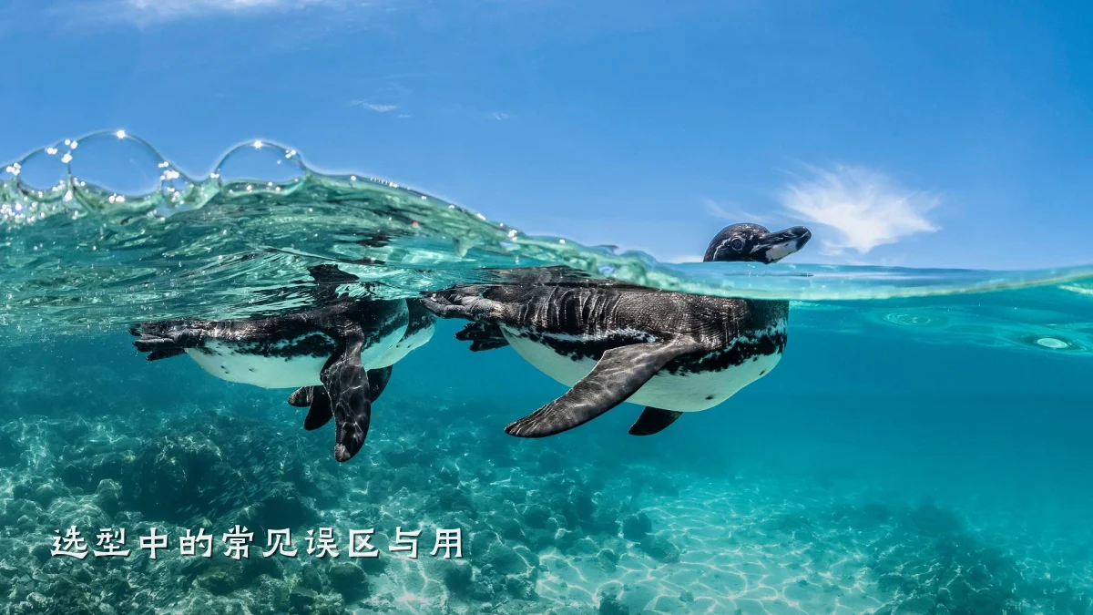 选型中的常见误区与用