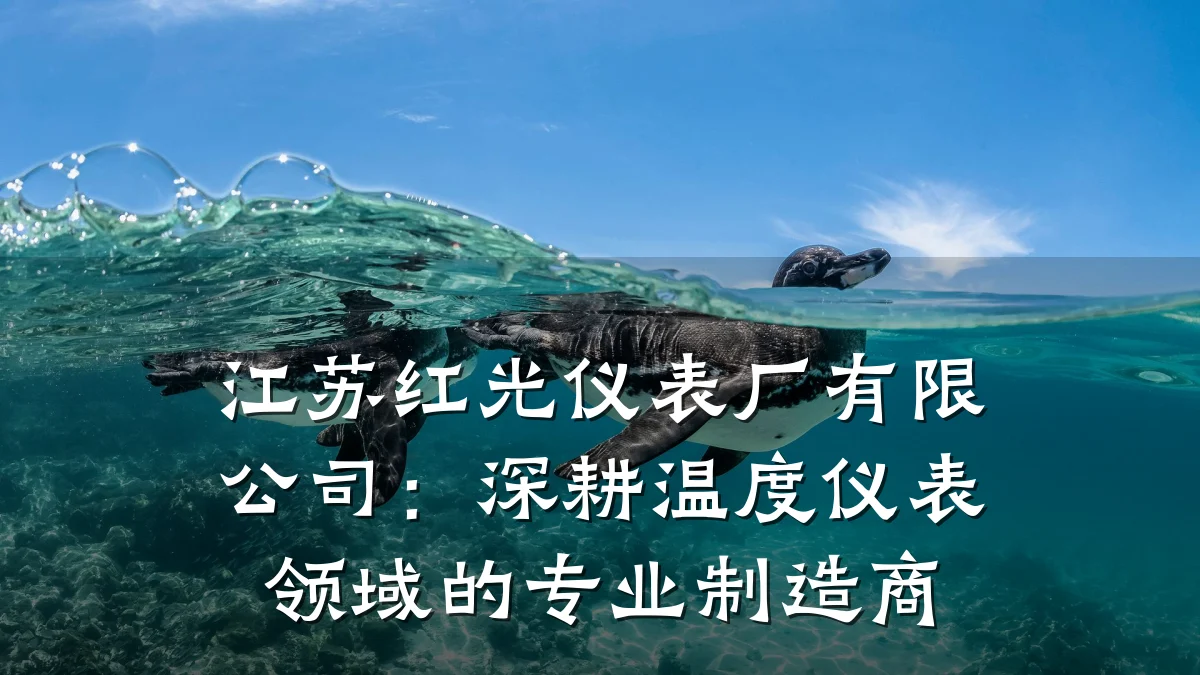 江苏红光仪表厂有限公司：深耕温度仪表领域的专业制造商