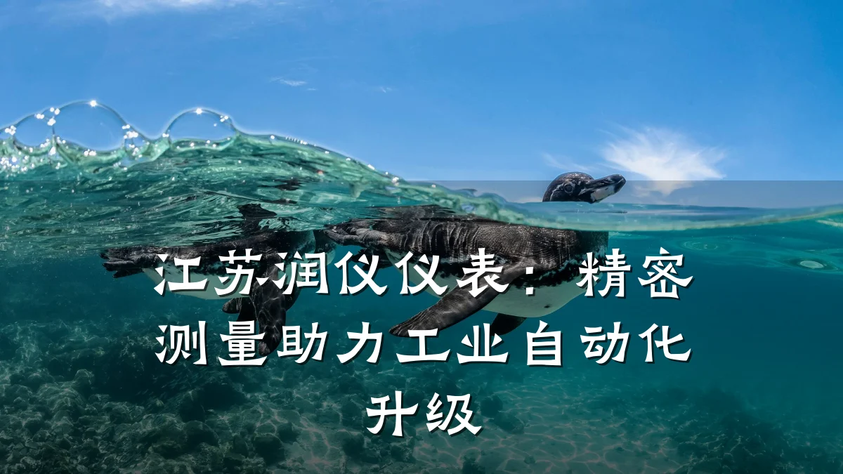 江苏润仪仪表：精密测量助力工业自动化升级