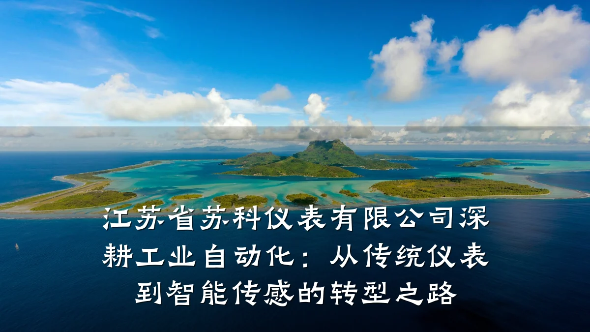 江苏省苏科仪表有限公司深耕工业自动化：从传统仪表到智能传感的转型之路