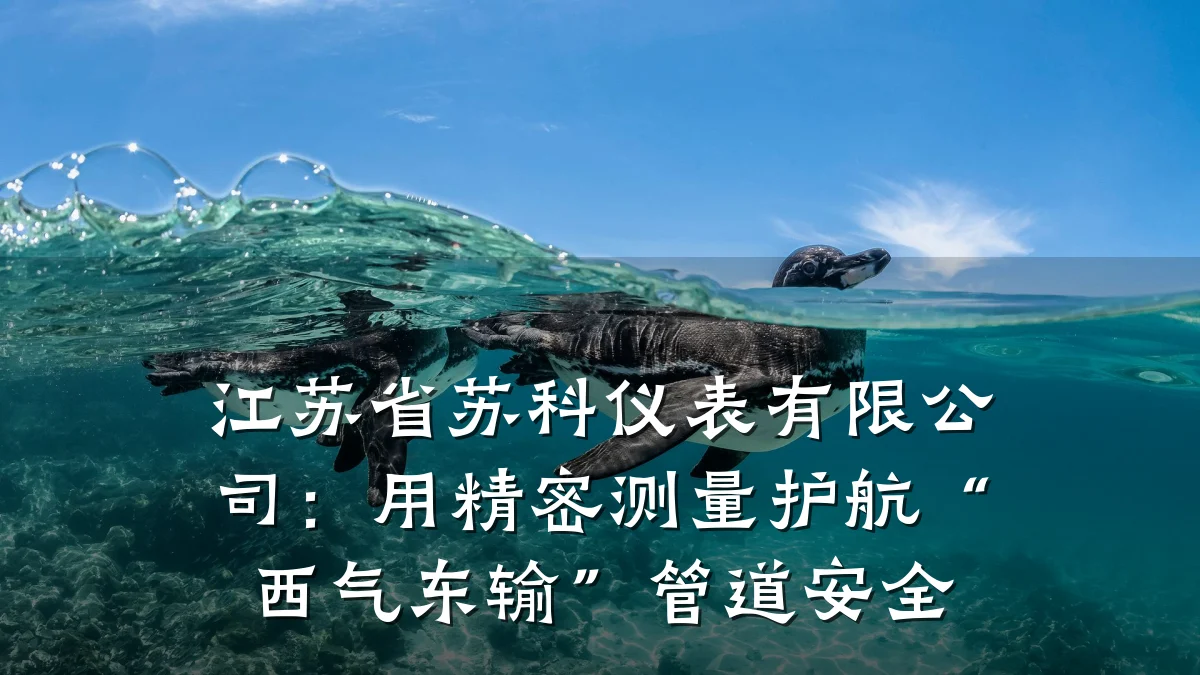 江苏省苏科仪表有限公司：用精密测量护航“西气东输”管道安全