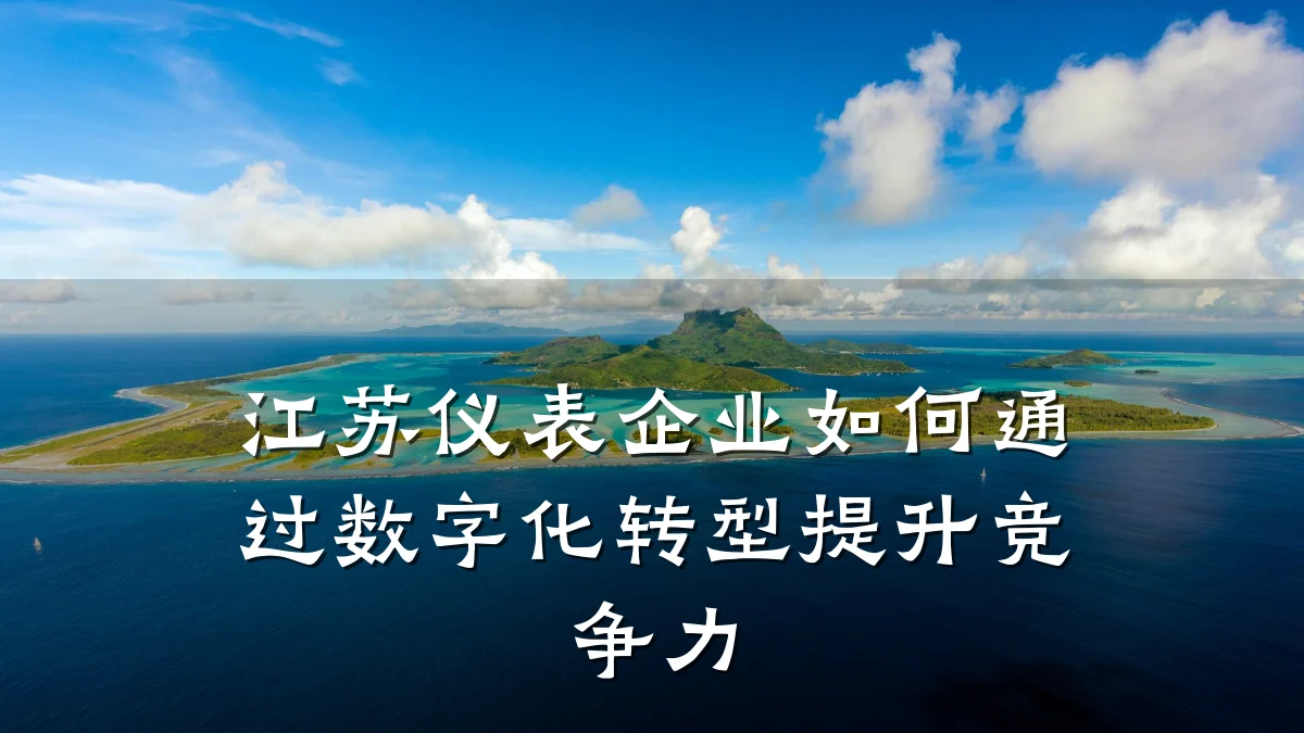 江苏仪表企业如何通过数字化转型提升竞争力