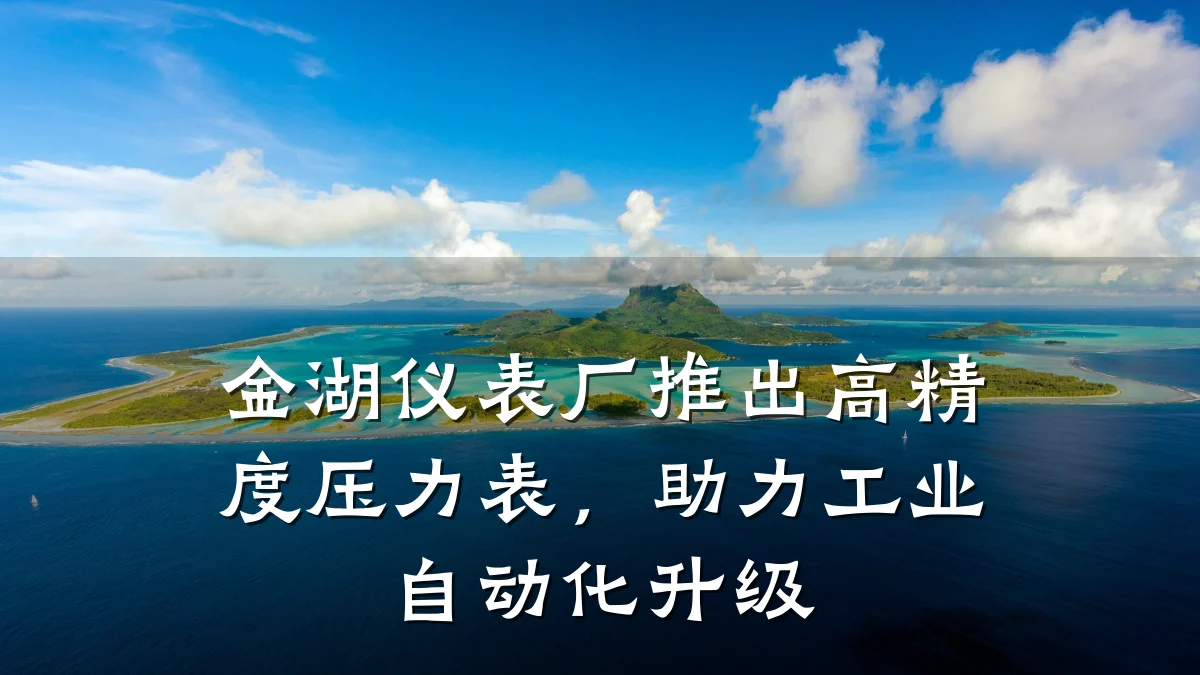 金湖仪表厂推出高精度压力表,助力工业自动化升级