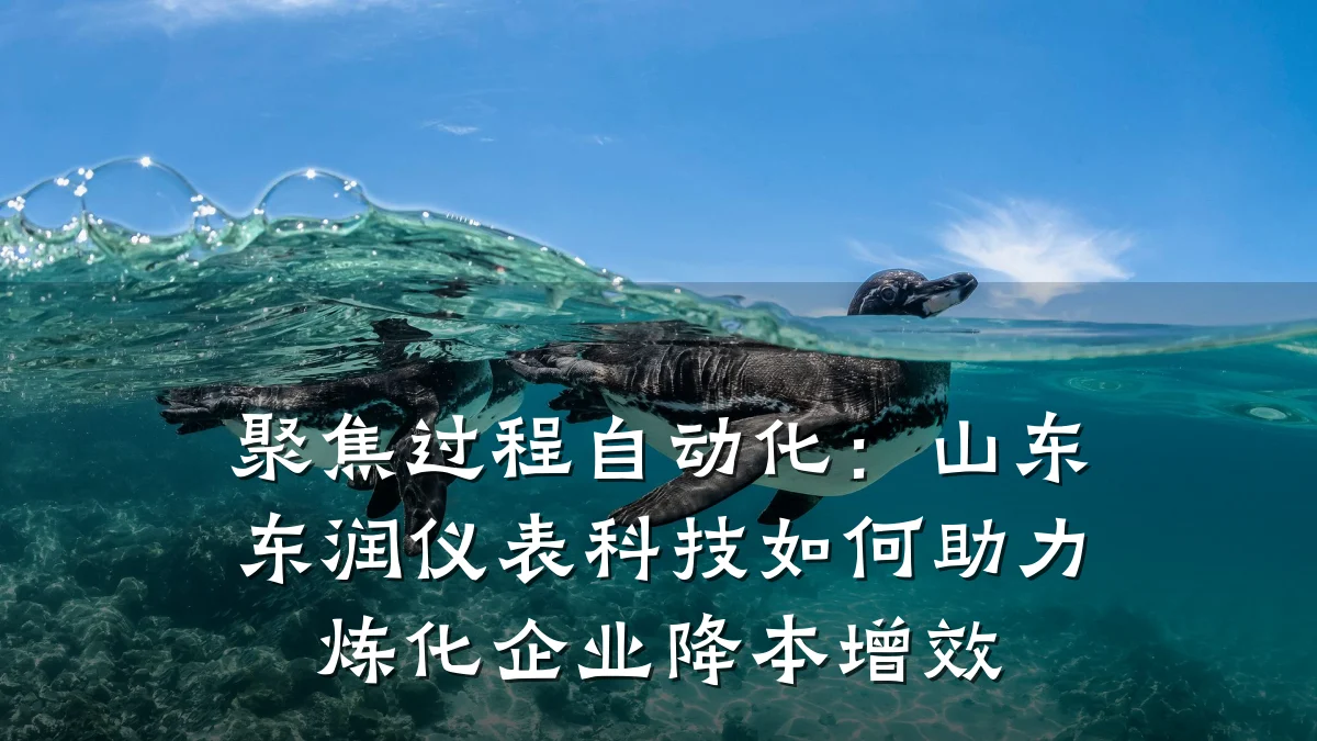 聚焦过程自动化:山东东润仪表科技如何助力炼化企业降本增效