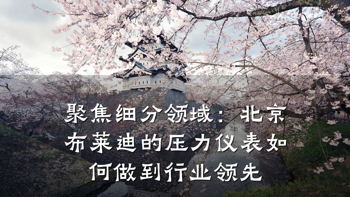 聚焦细分领域:北京布莱迪的压力仪表如何做到行业领先