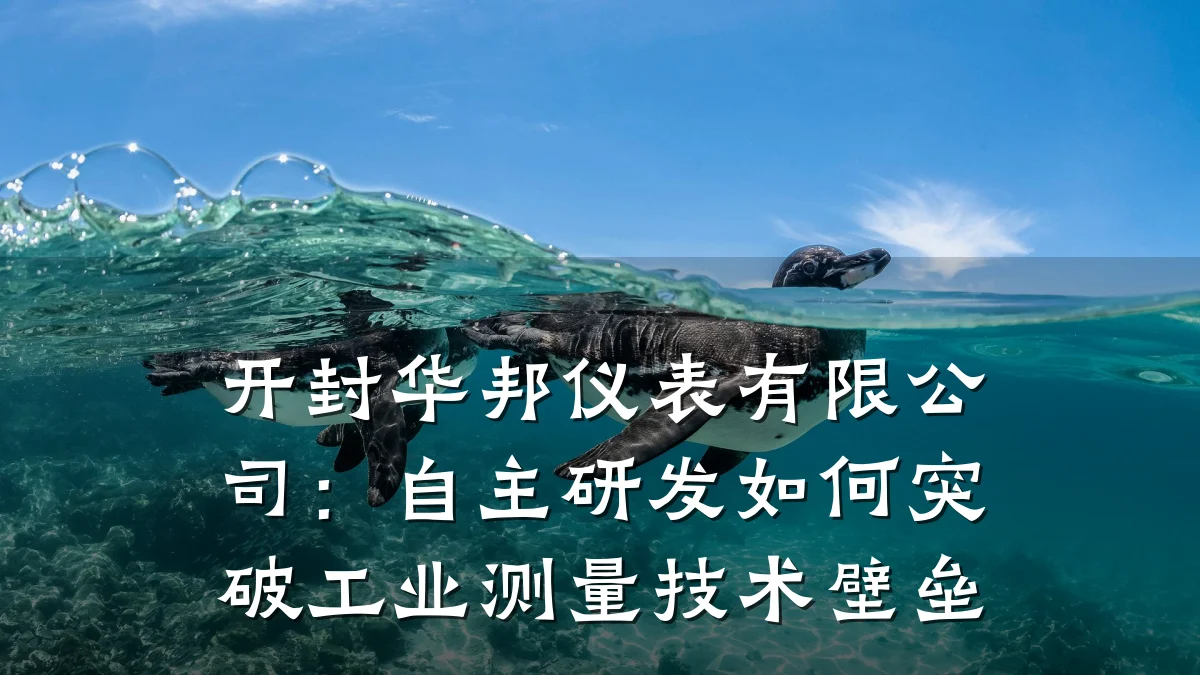 开封华邦仪表有限公司：自主研发如何突破工业测量技术壁垒