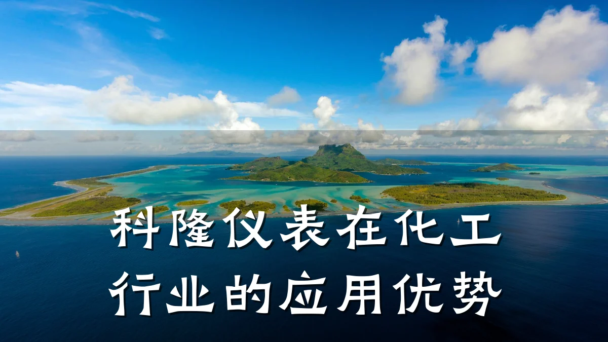 科隆仪表在化工行业的应用优势