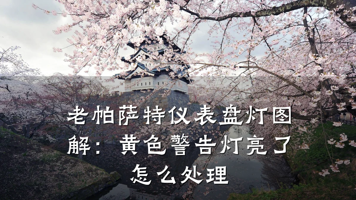 老帕萨特仪表盘灯图解:黄色警告灯亮了怎么处理