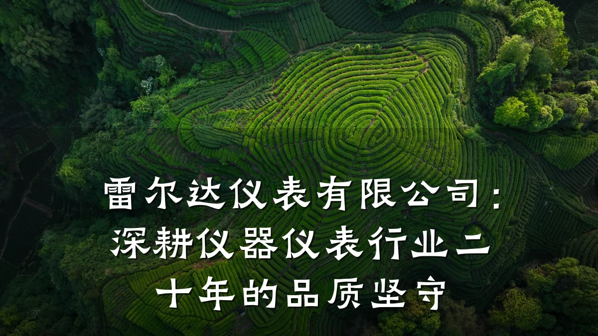 雷尔达仪表有限公司:深耕仪器仪表行业二十年的品质坚守