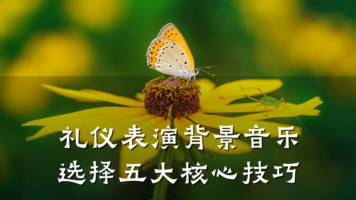 礼仪表演背景音乐选择五大核心技巧