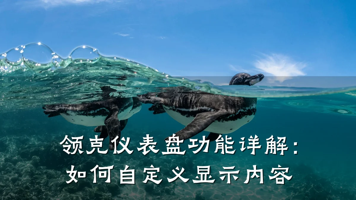 领克仪表盘功能详解:如何自定义显示内容
