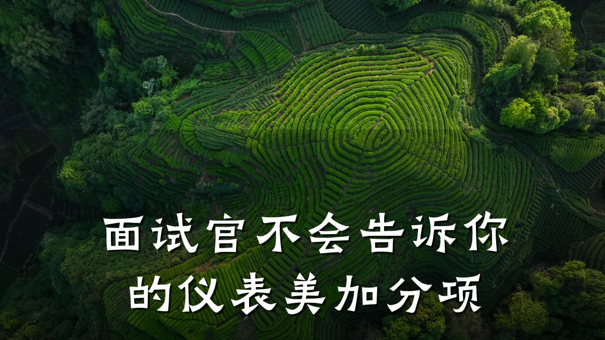 面试官不会告诉你的仪表美加分项