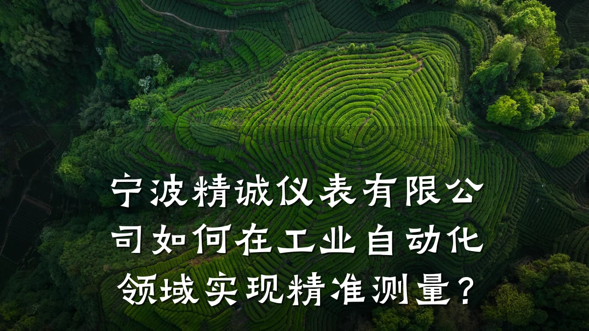 宁波精诚仪表有限公司如何在工业自动化领域实现精准测量?