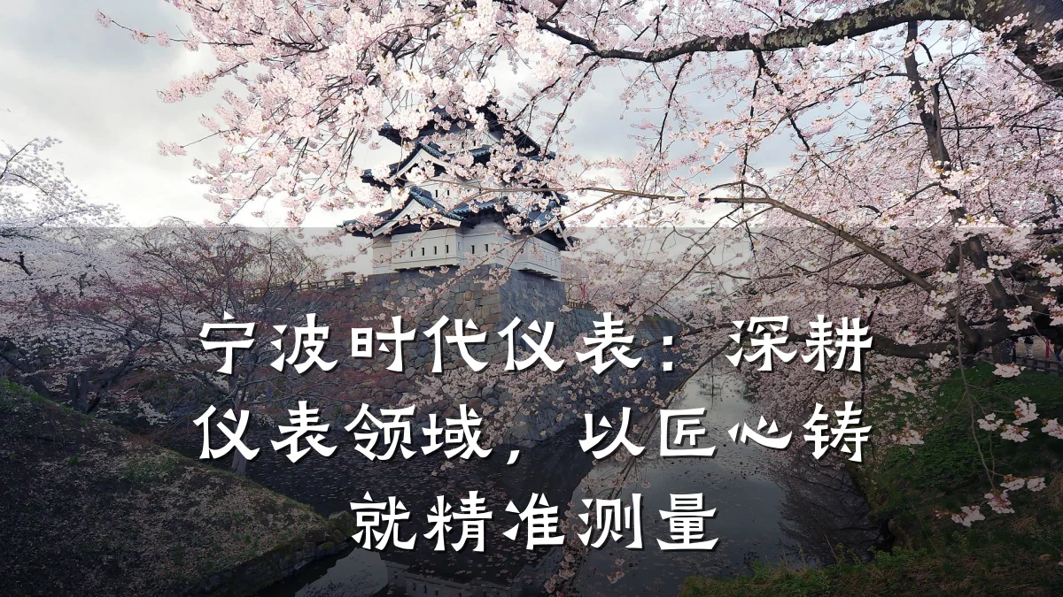 宁波时代仪表:深耕仪表领域,以匠心铸就精准测量
