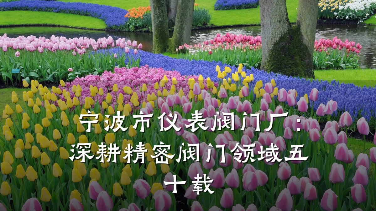宁波市仪表阀门厂:深耕精密阀门领域五十载