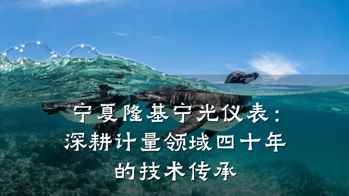 宁夏隆基宁光仪表:深耕计量领域四十年的技术传承