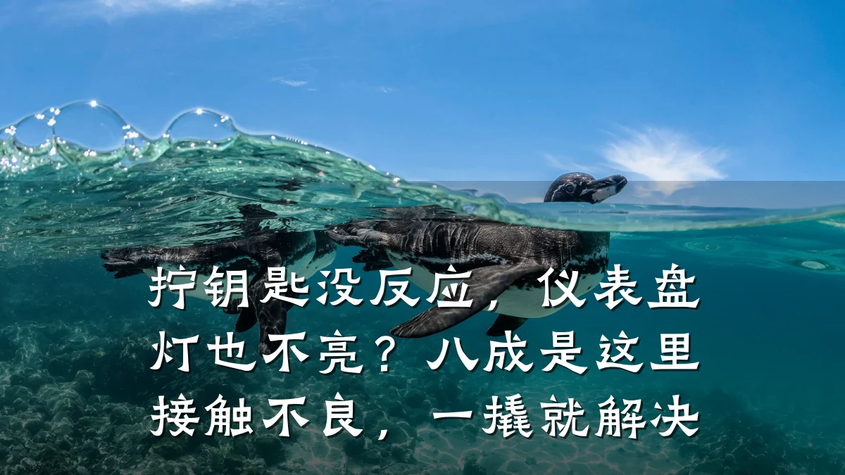 拧钥匙没反应,仪表盘灯也不亮?八成是这里接触不良,一撬就解决