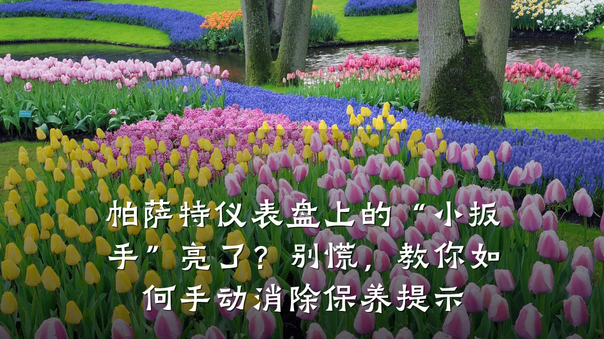 帕萨特仪表盘上的“小扳手”亮了?别慌,教你如何手动消除保养提示