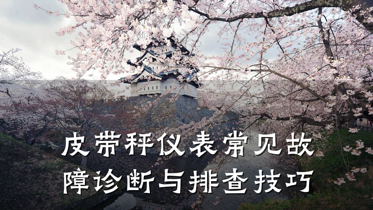 皮带秤仪表常见故障诊断与排查技巧
