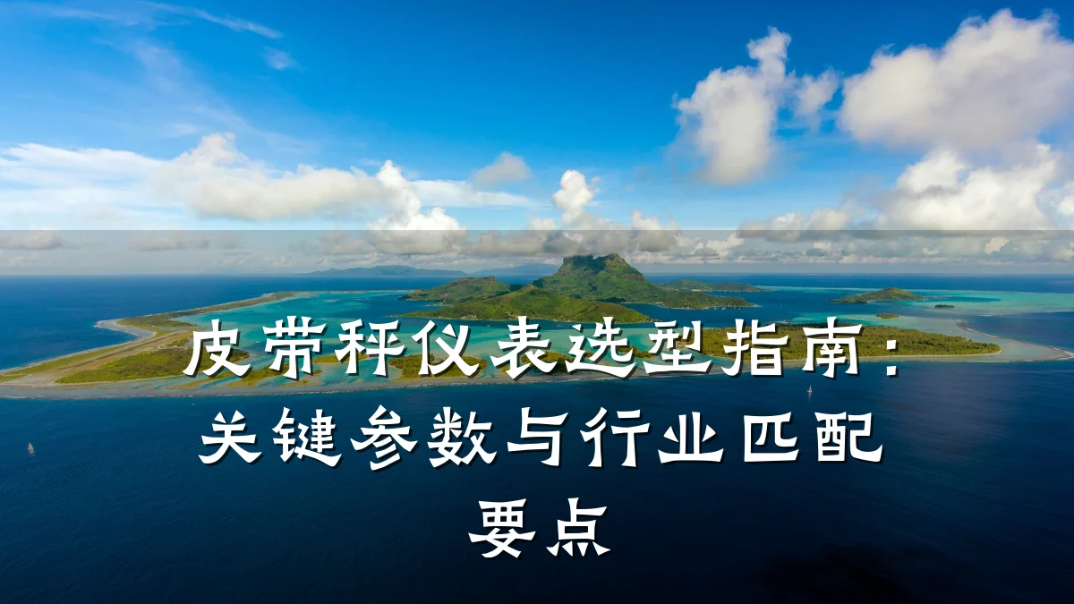 皮带秤仪表选型指南：关键参数与行业匹配要点
