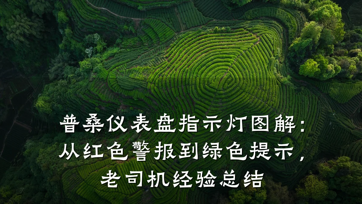 普桑仪表盘指示灯图解:从红色警报到绿色提示,老司机经验总结