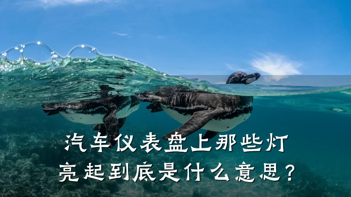 汽车仪表盘上那些灯亮起到底是什么意思?