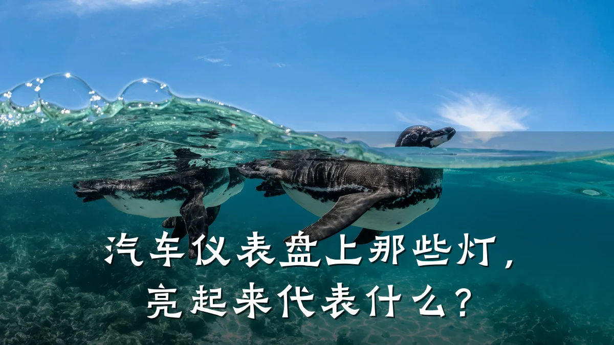 汽车仪表盘上那些灯,亮起来代表什么?
