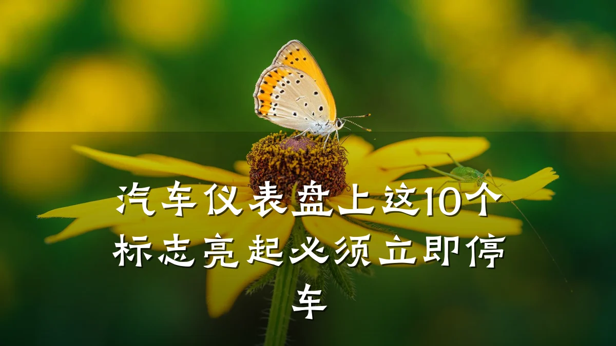 汽车仪表盘上这10个标志亮起必须立即停车