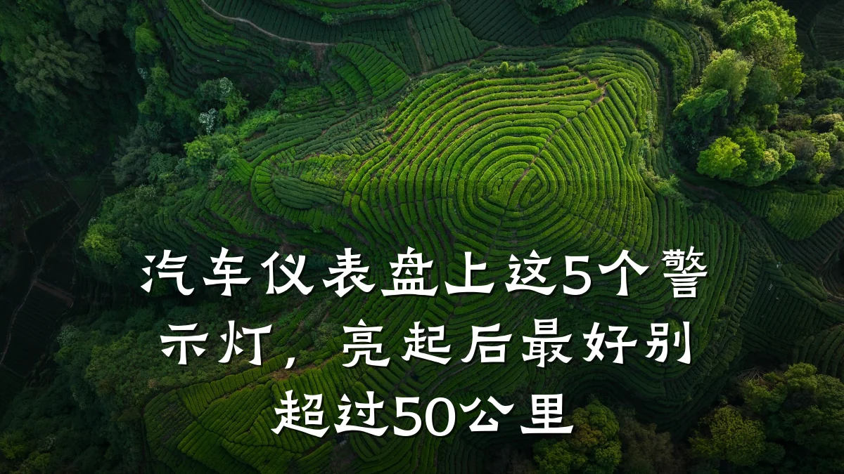 汽车仪表盘上这5个警示灯,亮起后最好别超过50公里
