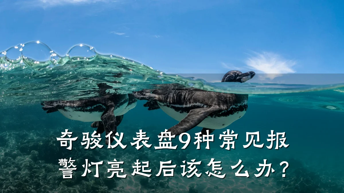 奇骏仪表盘9种常见报警灯亮起后该怎么办？
