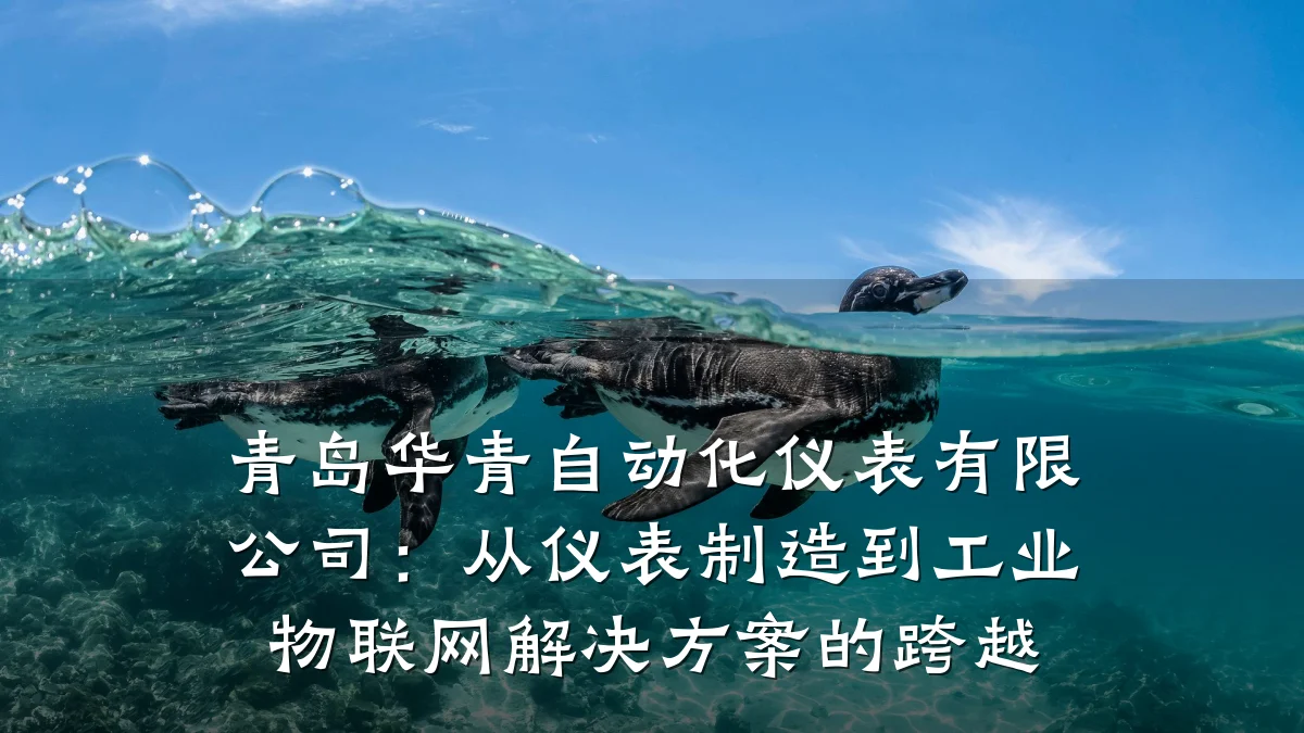 青岛华青自动化仪表有限公司:从仪表制造到工业物联网解决方案的跨越